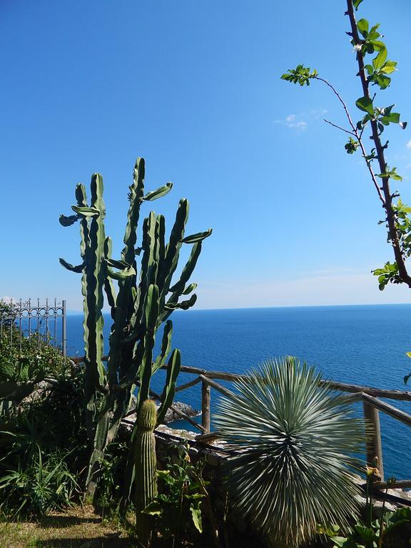 Amalfi View Cottage Экстерьер фото